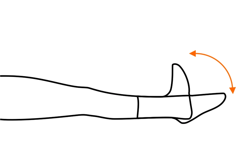 Ankle Pumps Physio Therapy Illustration